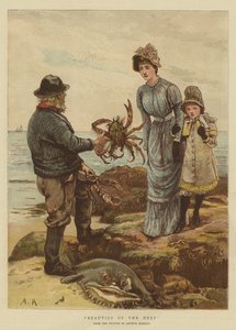 Dypets skjønnheter (chromolitho)